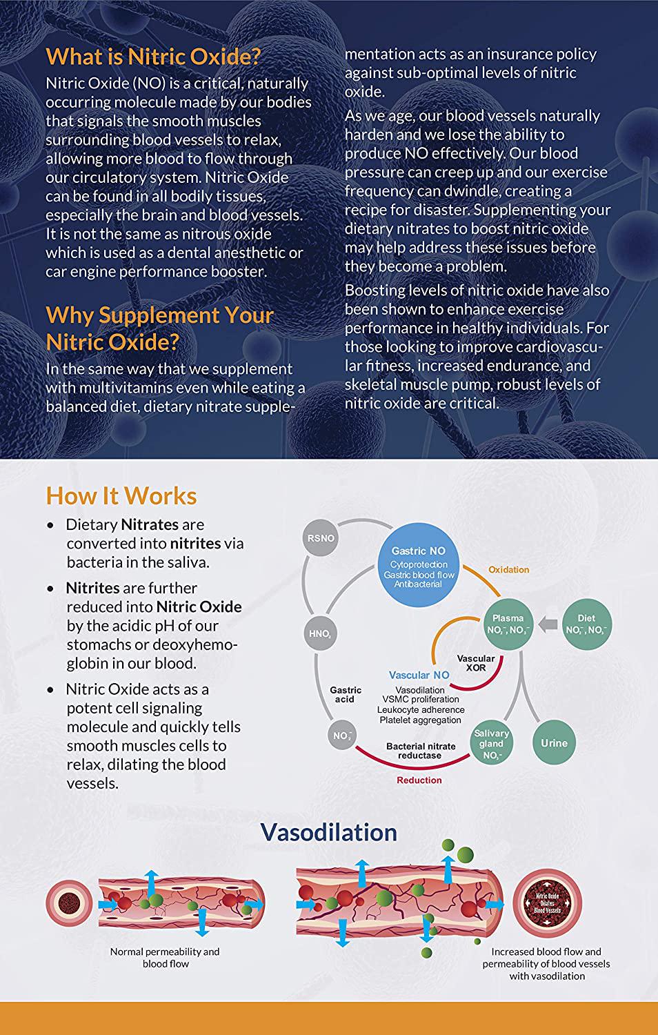Beet Root Nitric Oxide Supplement - Prime Flow | Daily Dietary Nitrate Supplement | Lower Blood Pressure Naturally | Improve Heart Health | Increase Blood Flow and Circulation, 60 Capsules