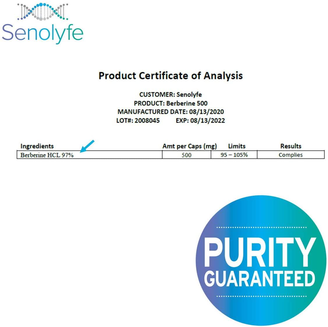 Berberine 500 | 500mg of 97% Berberine HCL - Glucose Metabolism, Cardiovascular Function and AMPK Activator - Anti-Aging and Longevity Support - 60 Servings