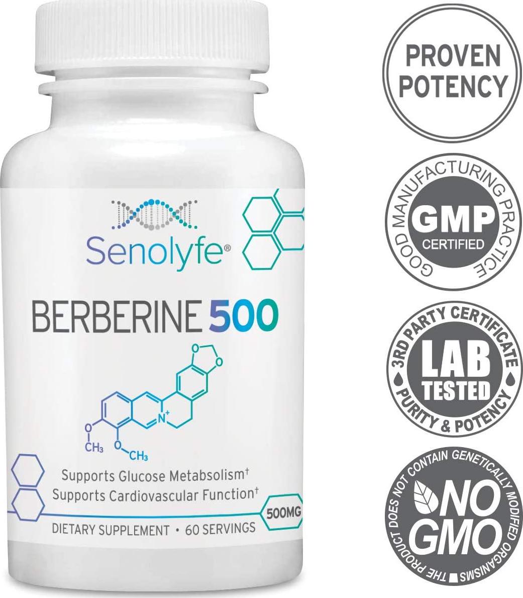 Berberine 500 | 500mg of 97% Berberine HCL - Glucose Metabolism, Cardiovascular Function and AMPK Activator - Anti-Aging and Longevity Support - 60 Servings