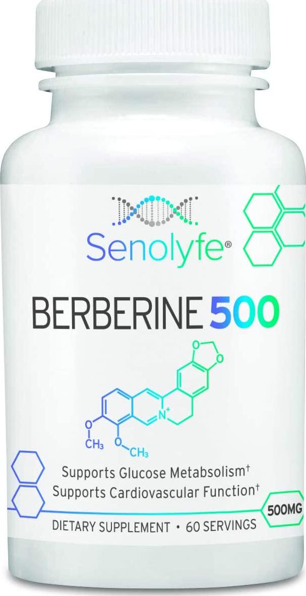 Berberine 500 | 500mg of 97% Berberine HCL - Glucose Metabolism, Cardiovascular Function and AMPK Activator - Anti-Aging and Longevity Support - 60 Servings