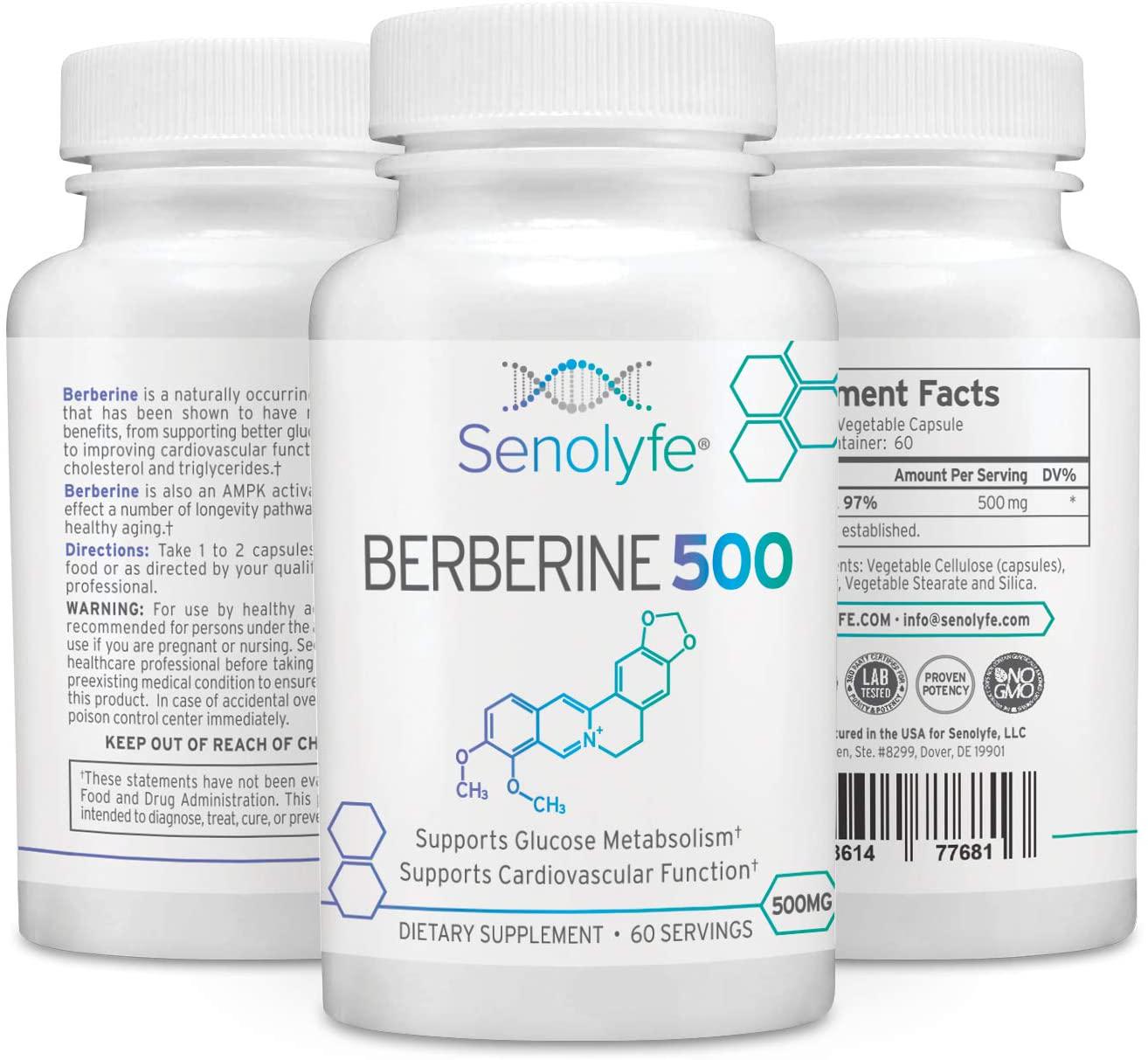 Berberine 500 | 500mg of 97% Berberine HCL - Glucose Metabolism, Cardiovascular Function and AMPK Activator - Anti-Aging and Longevity Support - 60 Servings