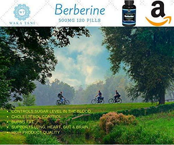 Berberine 500 Mg 120 Capsules. Powerful Blood Sugar Supplement. Supports Insulin and Glucose Sensitivity and Metabolism. Helps The Immune System, Fat Burn, Gastrointestinal and Cardiovascular System