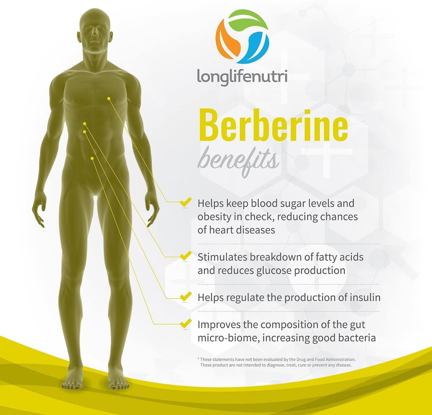 Berberine 500mg Plus HCL Extract | 180 Vegetarian Capsules | Control Blood Sugar | Lower Cholesterol Naturally | Natural Antioxidant and Anti Inflammatory Supplement | Made in USA