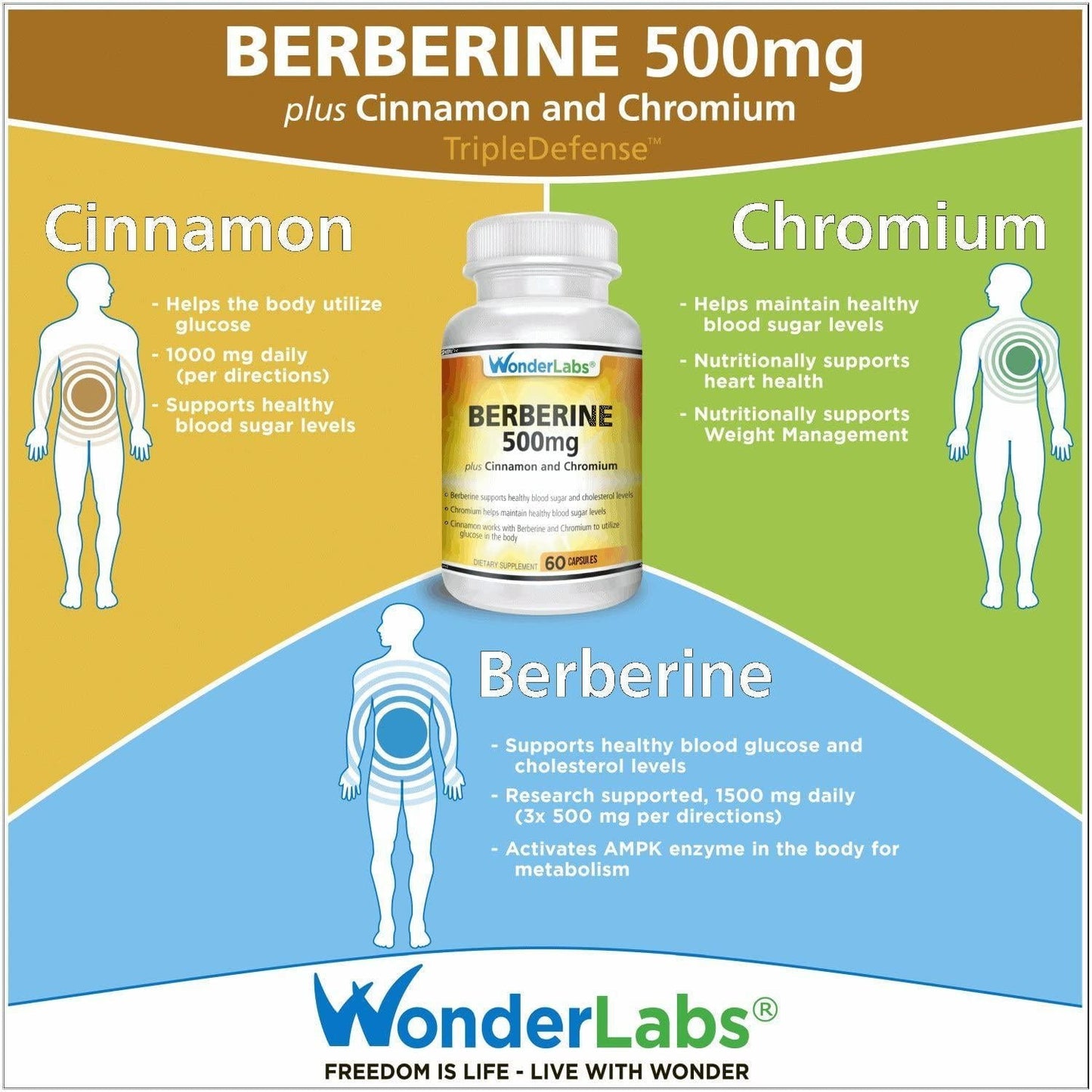Berberine Cholesterol Blood Sugar Supplement: HCL 500+ TripleDefense Gluten and GMO Free Maintenance for Glucose, Metabolism, Heart and Immune System Health - Anti Inflammatory Cinnamon Chromium Detox