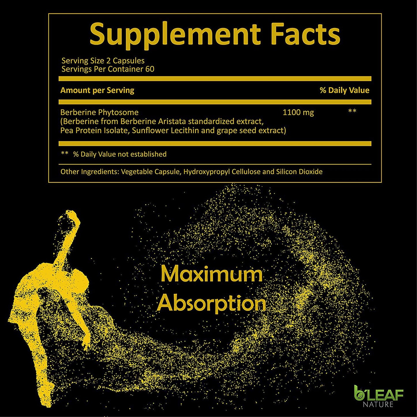 Berberine Phytosome - Superior Absorption - Natural Herbal Supplement Gluten Free Non GMO -1100mg per Serving - 120 Vegetarian Capsules by B Leaf Nature