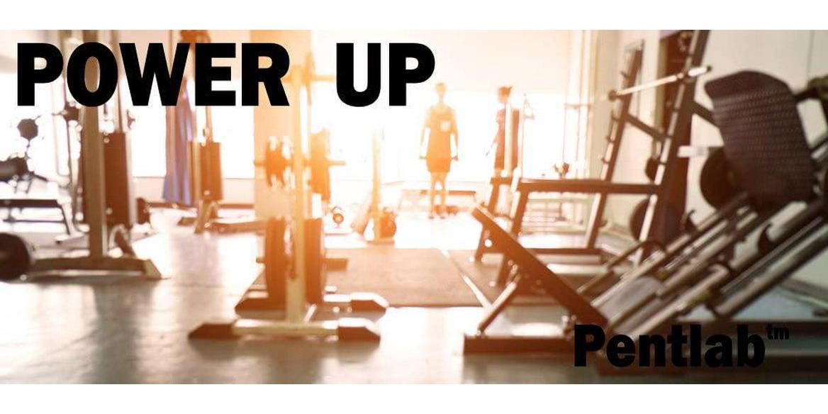 Best Natural Brain Function Booster - Memory, Focus and Clarity Formula - Nootropic scientifically formulated Bacopa Monneri Huperzine A, Neuroperzine Brain Health Fuel Pentlab 30 Veg Cap. Non-GMO