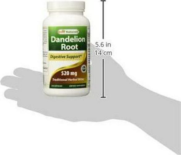 Best Naturals Dandelion Root 520 mg 250 Capsules