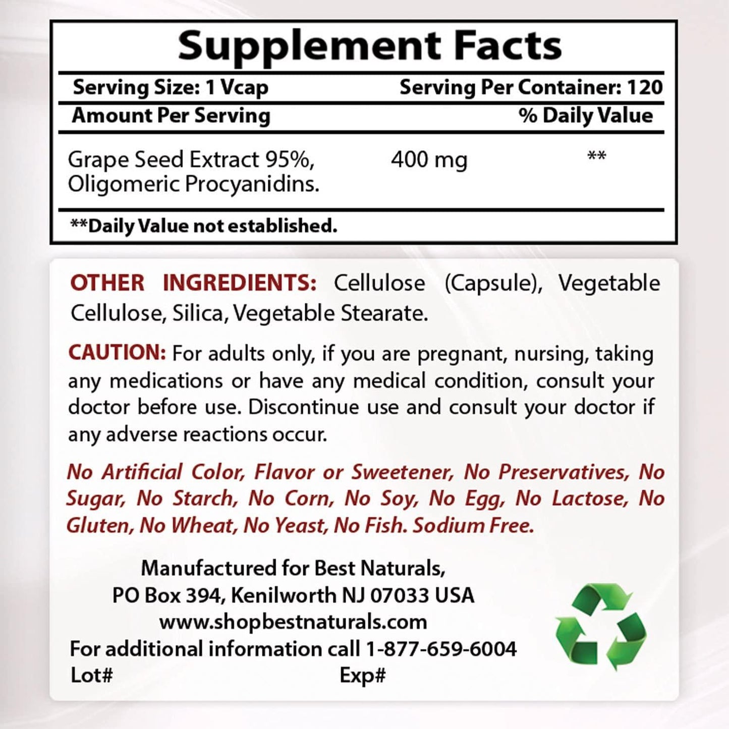 Best Naturals Grape Seed Extract 400 mg Veggie Capsule, 120 Count