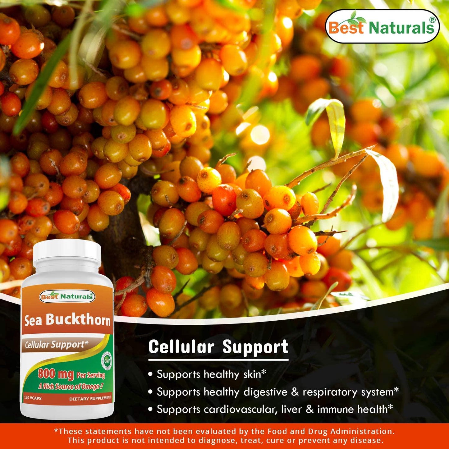 Best Naturals Sea Buckthorn 800 Mg 120 Veggie Capsules