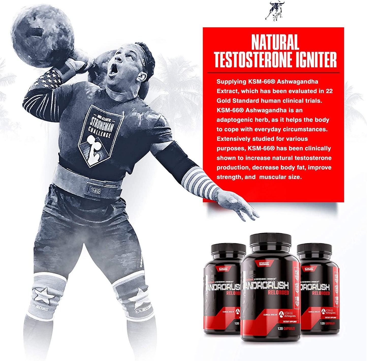 Betancourt Nutrition B-NOX Androrush Dietary Supplement, Testosterone Booster, Lean Mass Promoter, Capsules, 120-Count