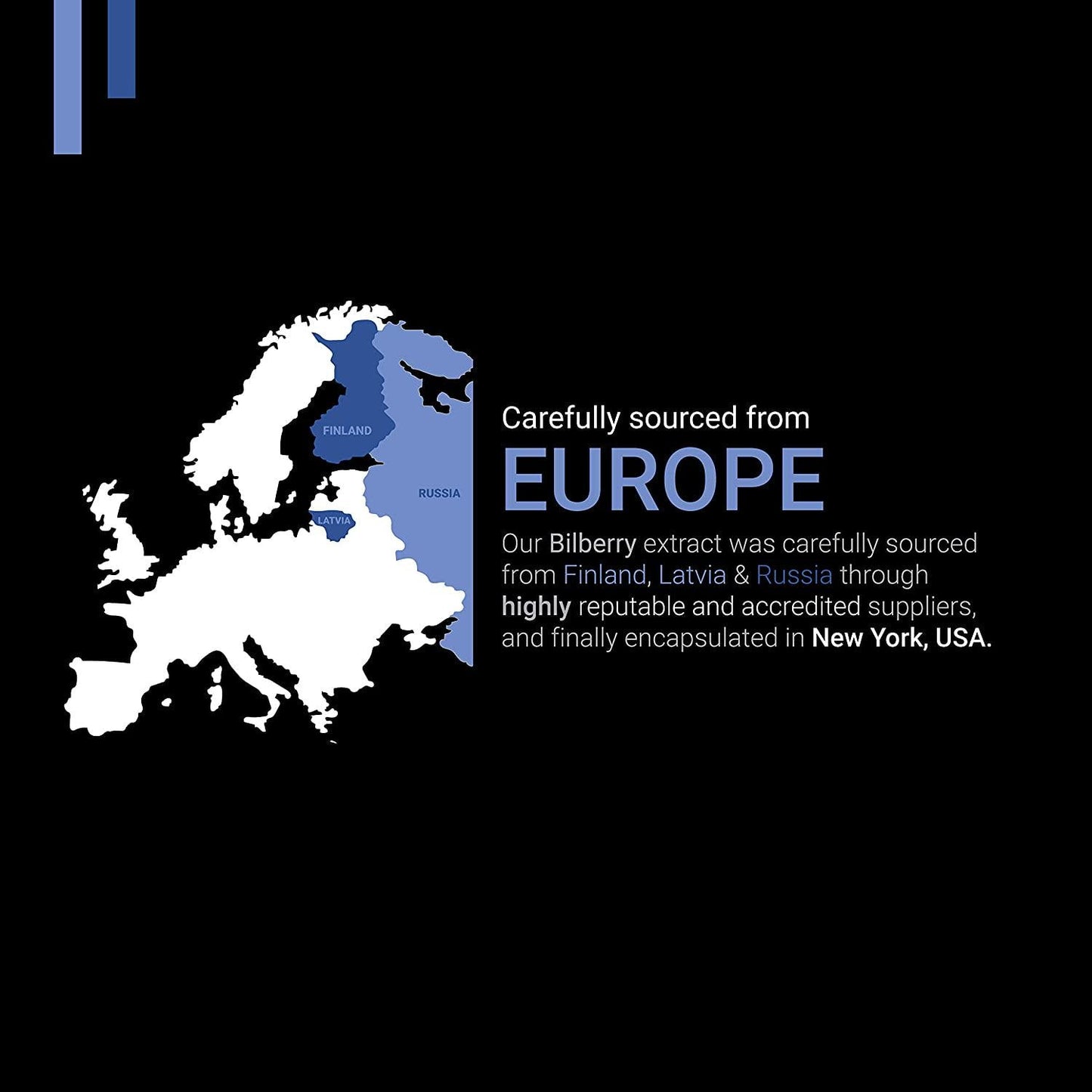 Bilberry Extract 1000mg, 25% Anthocyanins 50mg - 120 Count (V-Capsules) / 120 Servings; A European Blueberry Taken to Support Healthy Vision, Memory and Cognition | Non-GMO, Vegan and Gluten Free