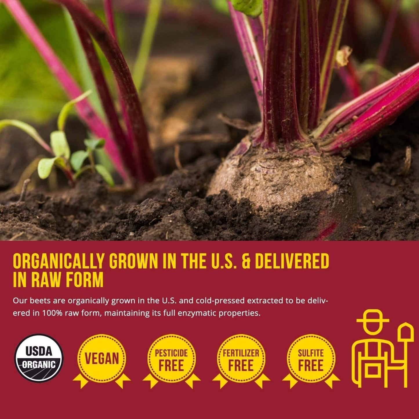 BioBeetÂ Max Strength Beet Root Juice Powder 20:1 Concentrate, Each Serving Derived from 60,000 mg Organic Beetroot - Cold-Pressed, USA Grown Nitric Oxide, Circulation Support 50 Servings