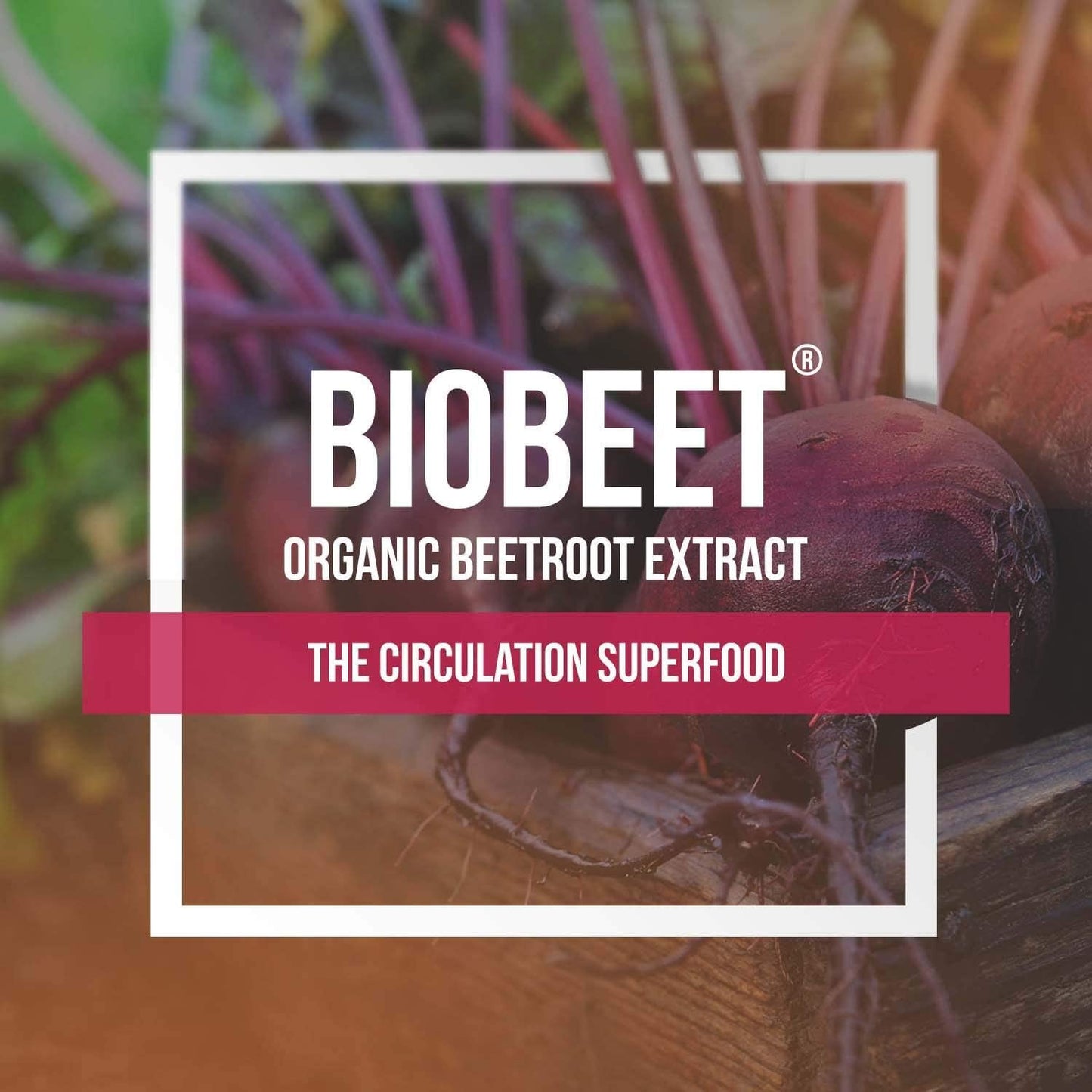 BioBeet Max Strength Beet Root Capsules - 21:1 Concentrate, Each Serving Derived from 28,350 mg Organic Beetroot - Absorption Enhancement with BioPerine Black Pepper Extract (60 Capsules)