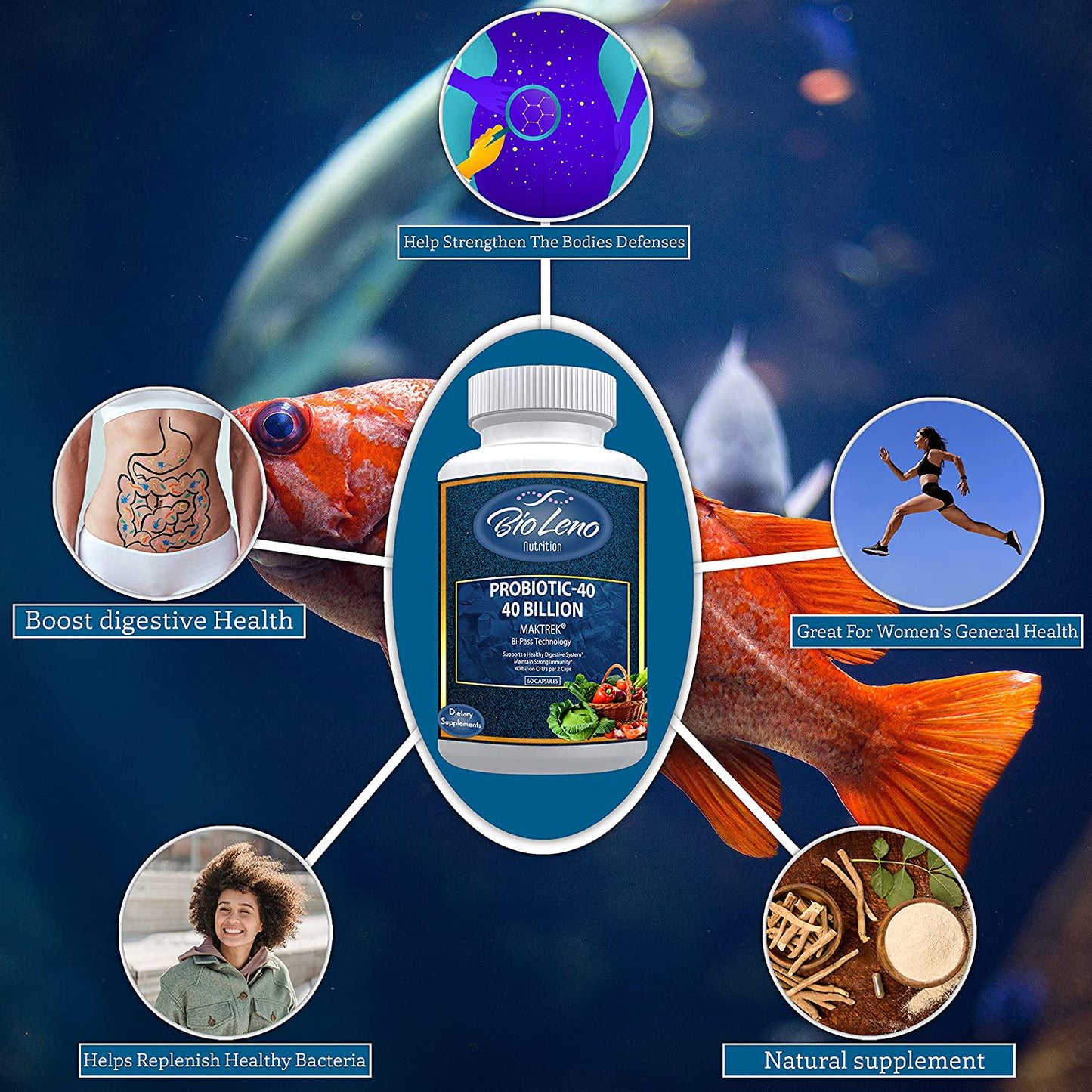 BioLeno Probiotic 40 Billion CFU/g for Men and Women - Probiotic with Lactobacillus Acidophilus - Bi-Pass Technology - No Refrigeration - Probiotic Supplements for Digestive Health | 60 Capsules