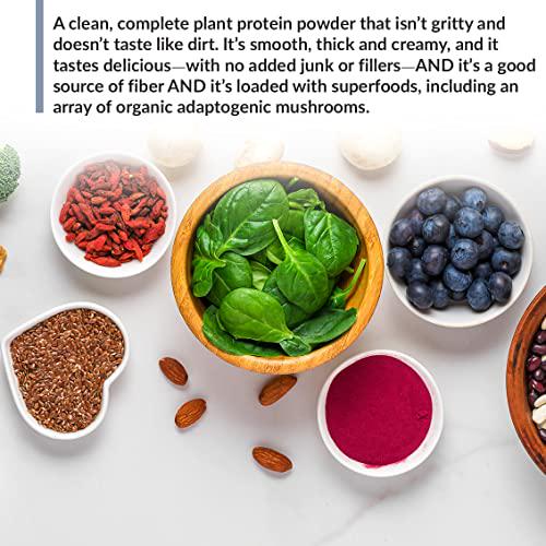 BioTrust Low Carb Plant, 20 Grams of Plant-Based Protein, 5 Grams Fiber, 15 Superfoods, Digestive Enzymes, Vegan, Dairy-Free, Non-GMO, Gluten and Soy-Free, 14 Servings (Vanilla Caramel)