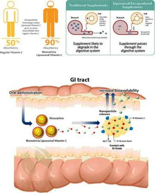 Bionutricia Extract Liposomal Vitamin C Supplement Soursop Fruit Extract Powder (150gram)