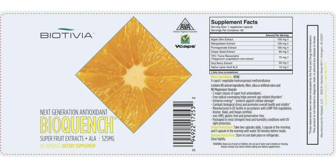 Biotivia, Bio Quench Super Antioxidant, 13,580 ORAC, Dietary supplement, 60 Veg Capsules