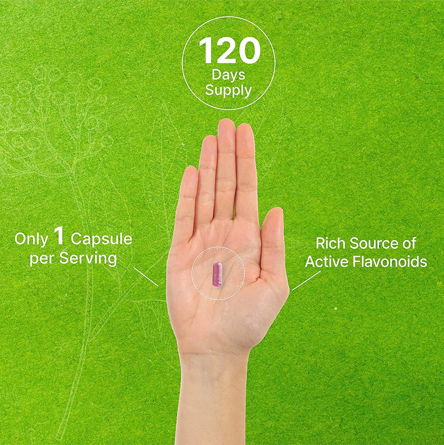 Black Elderberry Capsules 4,000mg Herbal Equivalent, 120 Caps, Immune Support, Promote Energy | Natural Antioxidant | Immune Vitamins