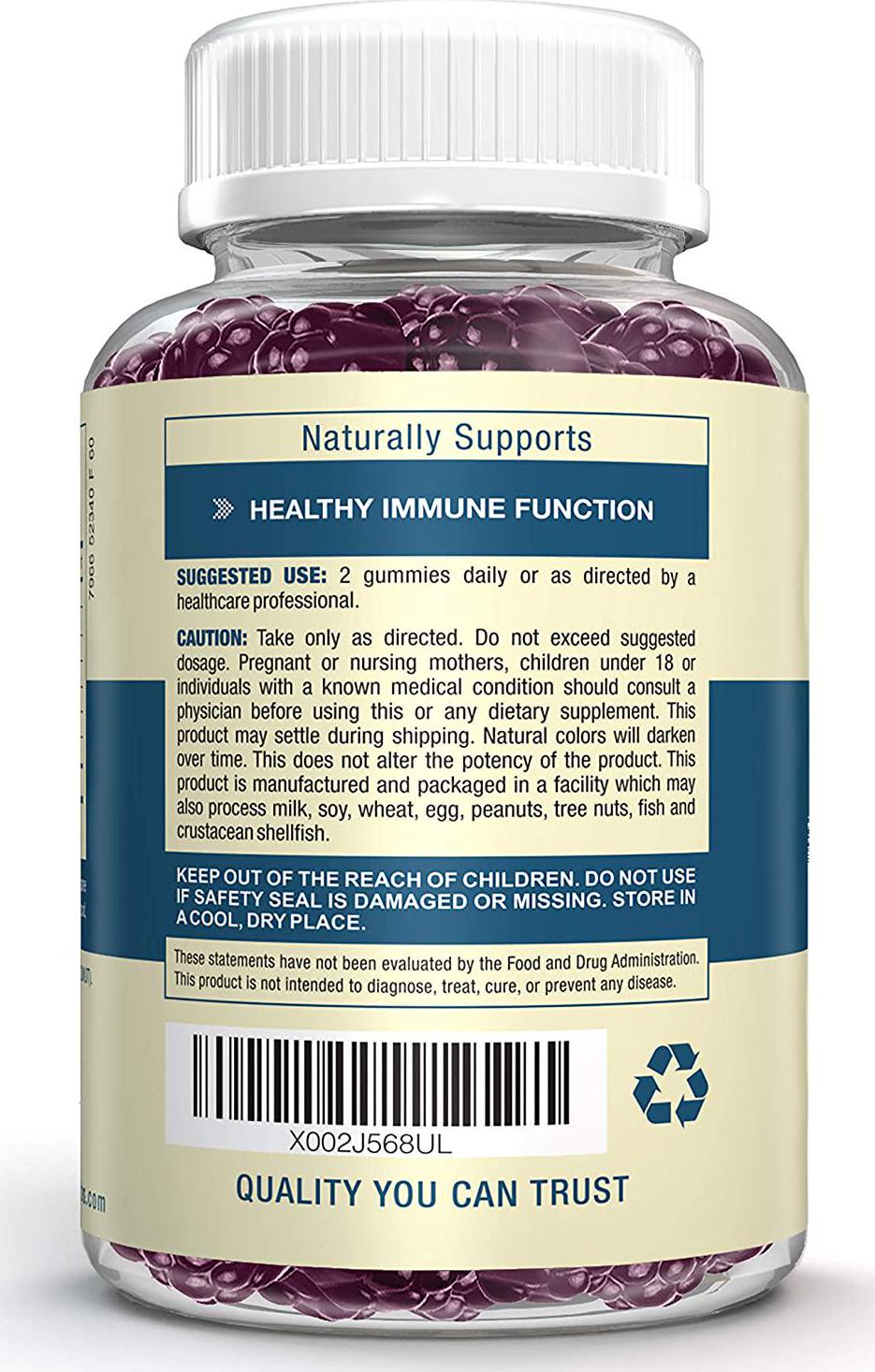 Black Elderberry Gummies with Vitamin C and Zinc - Sambucus Nigra - Naturally Supports Healthy Immune Function for Men and Women - 30 Servings, 60 Vegetarian Gummies - by Revive Herbs