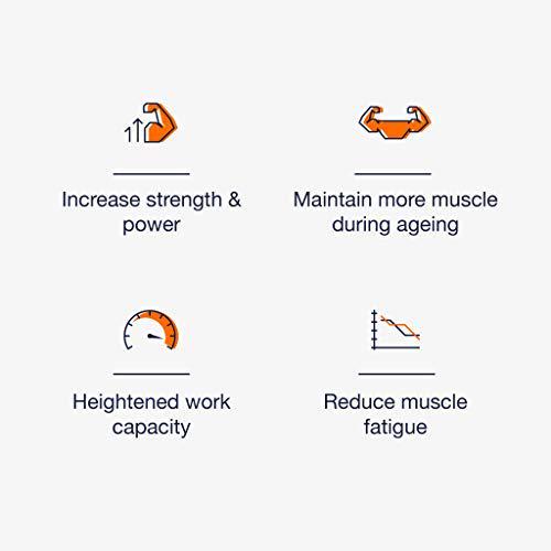 Blonyx HMB + Creatine - Improves Strength, Power, Lean Body Mass, Recovery - 30-Day Supply