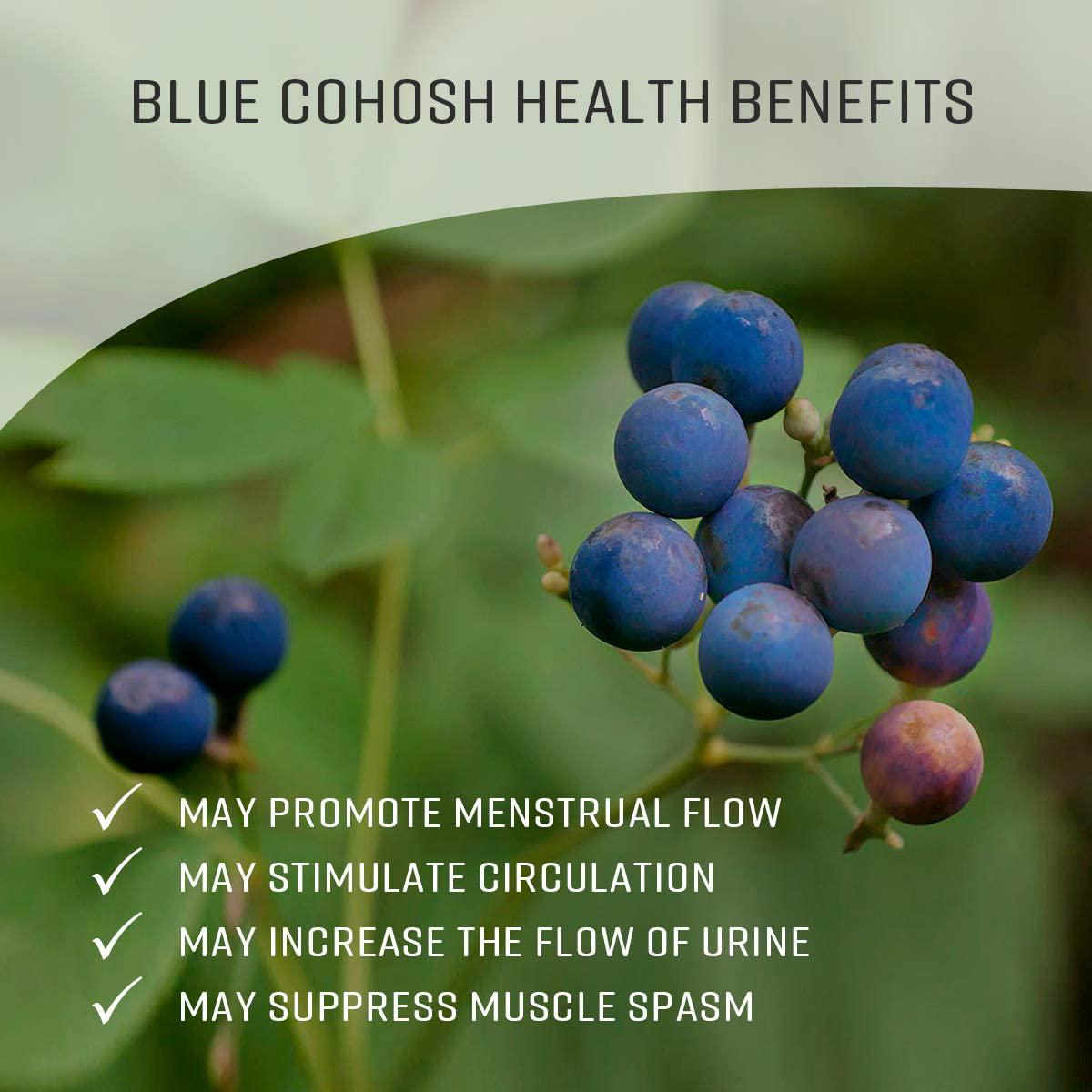 Blue Cohosh Tincture Alcohol-Free Extract, Organic Blue Cohosh Root (Caulophyllum Thalictroides) (2 FL OZ)