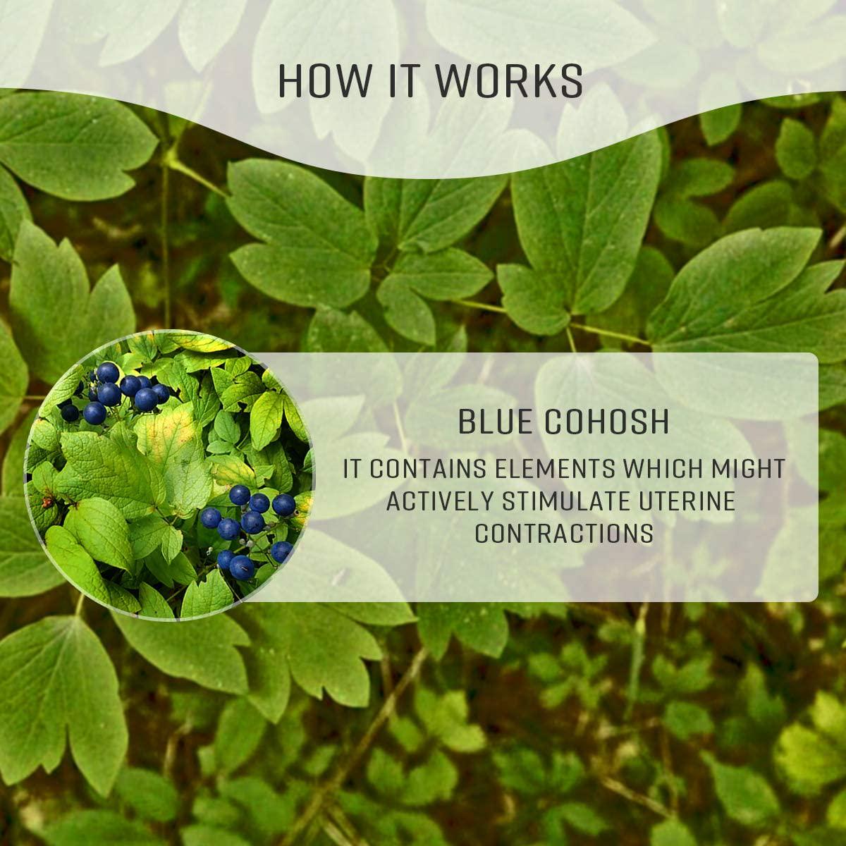 Blue Cohosh Tincture Alcohol-Free Extract, Organic Blue Cohosh Root (Caulophyllum Thalictroides) (2 FL OZ)