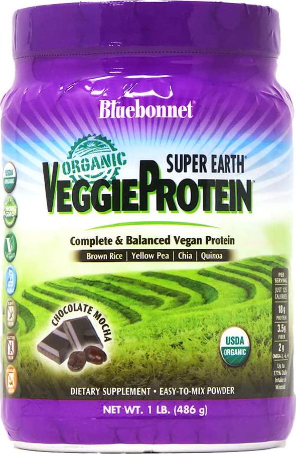 Bluebonnet Nutrition Super Earth Organic Veggie Protein Powder, Soy Free, Gluten Free, Kosher, Non-GMO, Vegan, USDA Organic, No Sugar Added, Chocolate Mocha Flavor, 1 lb, 15 Servings