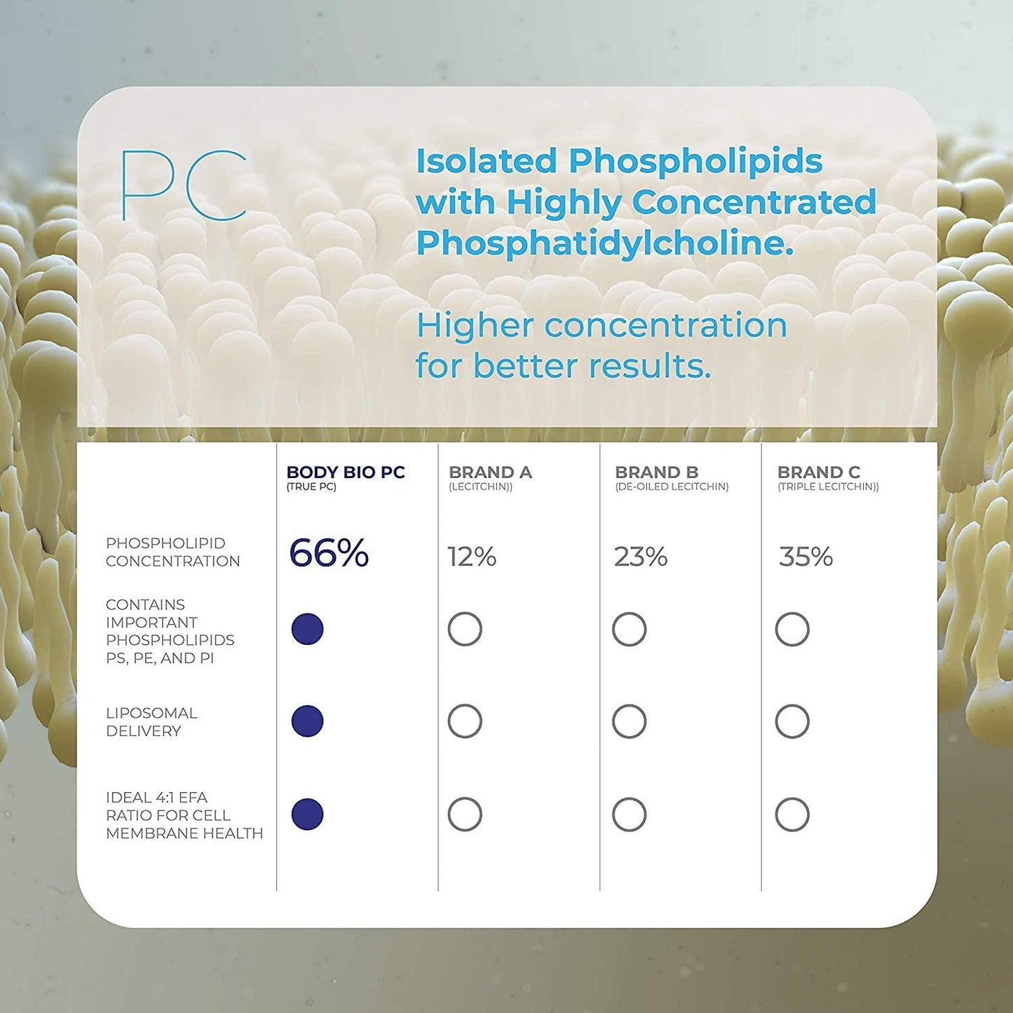 BodyBio - PC Phosphatidylcholine + Phospholipids - Liposomal for High Absorption - Optimal Brain and Cell Health - Boost Memory, Cognition, Focus and Clarity - 100% Non-GMO - 60 Softgels