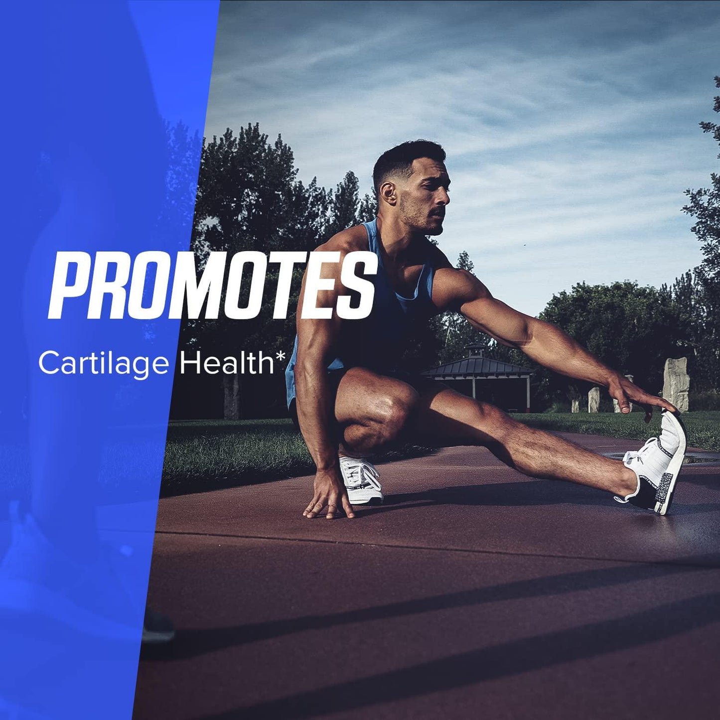 BodyBuilding.Com Signature Glucosamine and Chondroitin Tablets | Joint Pain Relief Promotes Cartilage Strength | Gluten Free | 180 Caps