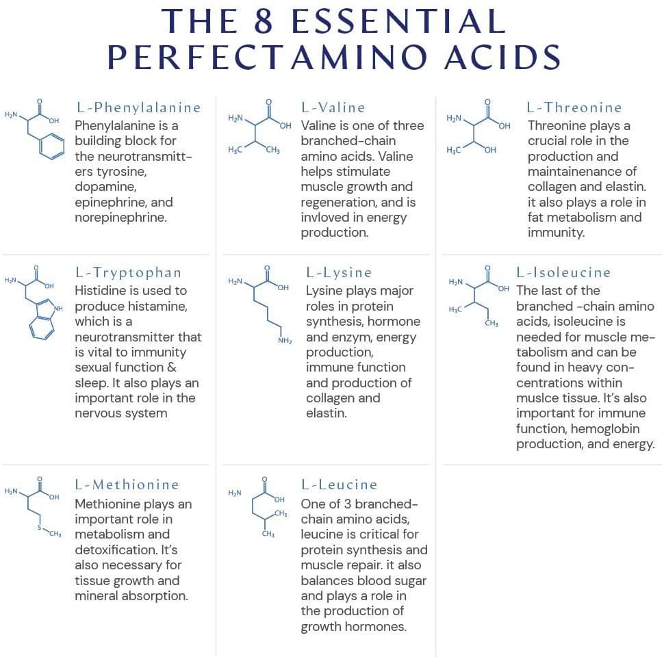 BodyHealth PerfectAmino XP Lemon Lime (60 Serving), Best Pre/Post Workout Recovery Drink, 8 Essential Amino Acids Energy Supplement with 50% BCAAs, 100% Organic, 99% Utilization (Packaging May Vary)