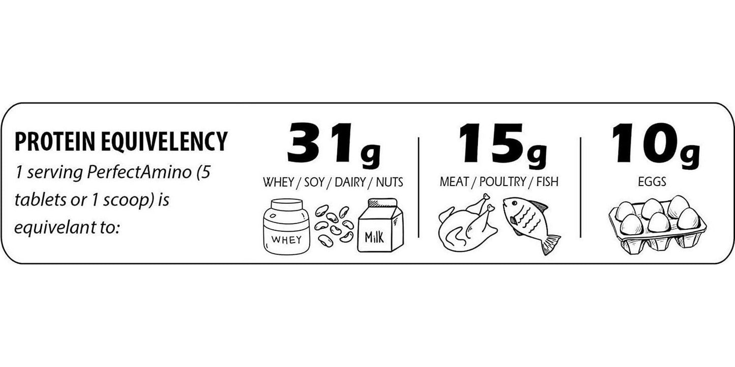 BodyHealth PerfectAmino Tablets (150ct Plus 30ct Travel Bottle), All 8 Essential Amino Acids with BCAAs + Lysine, Phenylalanine, Threonine, Methionine, Tryptophan, Supplement for Recovery and Strength