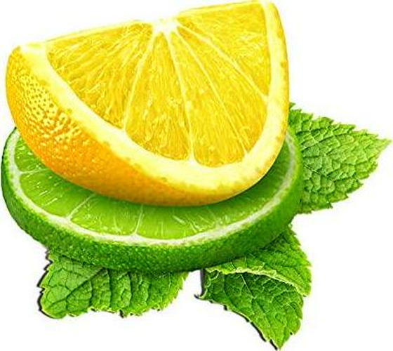 BodyHealth PerfectAmino XP Lemon Lime (60 Serving), Best Pre/Post Workout Recovery Drink, 8 Essential Amino Acids Energy Supplement with 50% BCAAs, 100% Organic, 99% Utilization (Packaging May Vary)