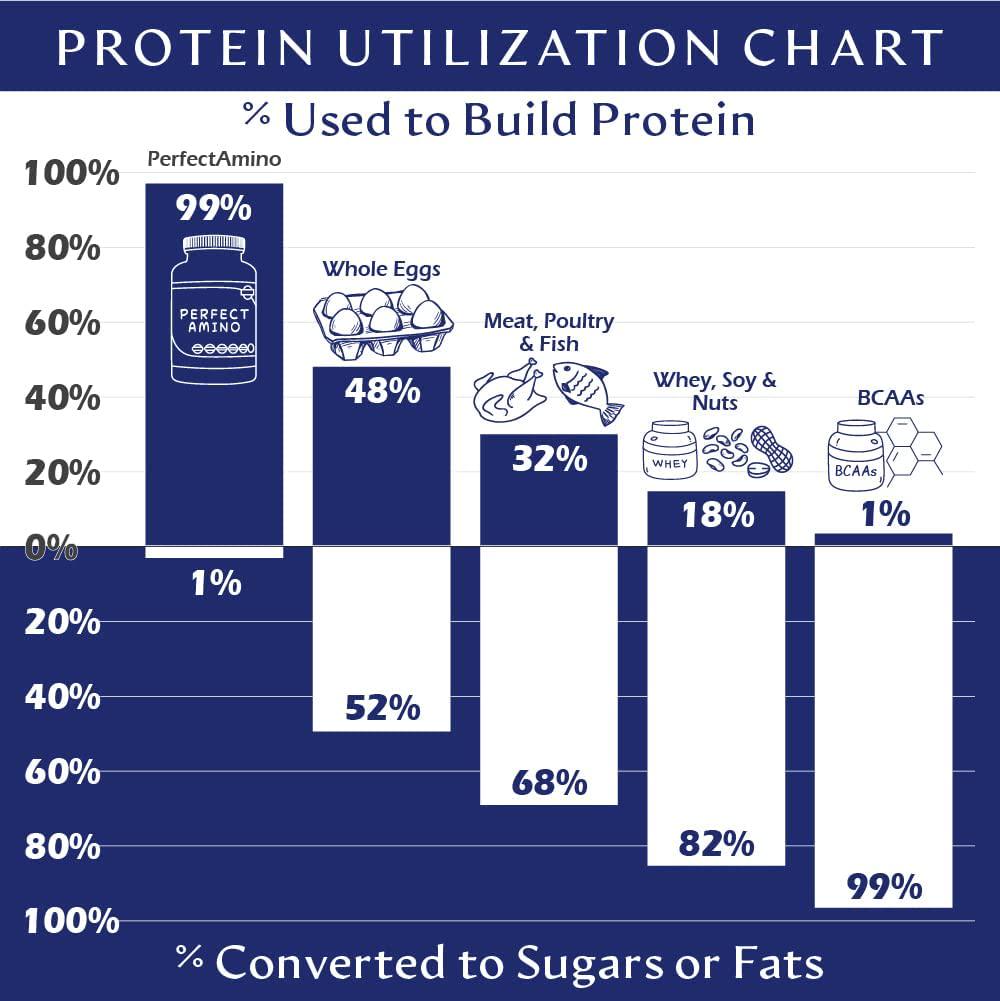 BodyHealth PerfectAmino XP Lemon Lime (60 Serving), Best Pre/Post Workout Recovery Drink, 8 Essential Amino Acids Energy Supplement with 50% BCAAs, 100% Organic, 99% Utilization (Packaging May Vary)