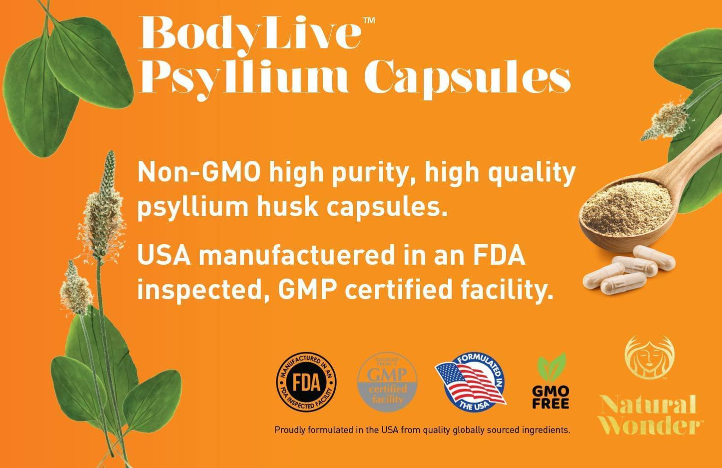 BodyLive Premium Psyllium Husk Fiber Supplement 1450mg, 240 Capsules (120 Servings)