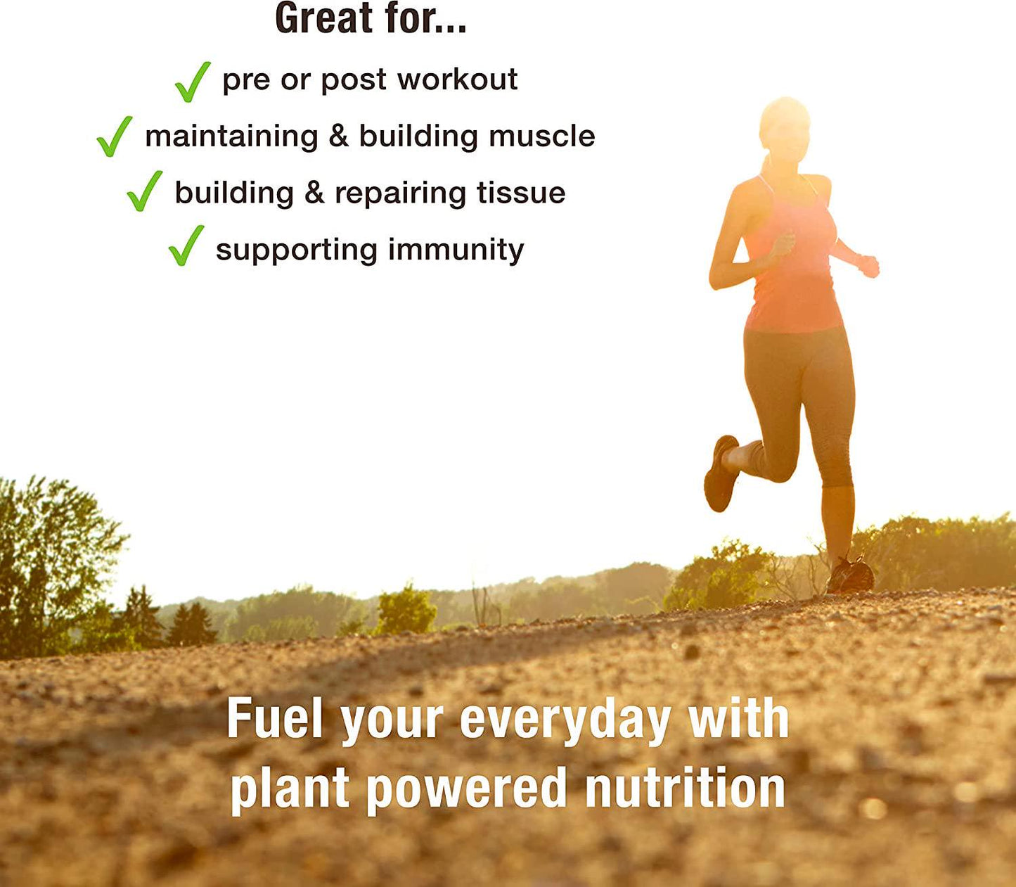 BodyMe Organic Vegan Protein Bites | Raw Cacao Mint | 500g (100 Bites) | With 3 Plant Proteins