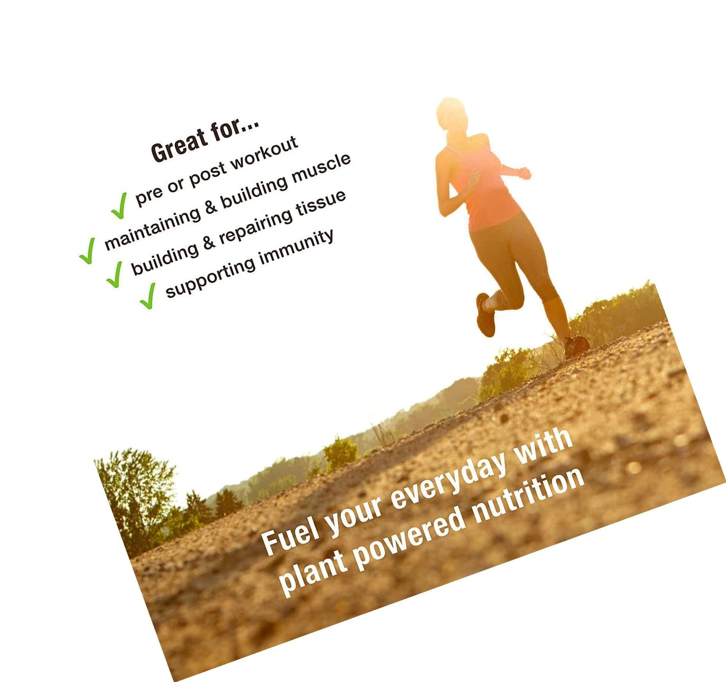 BodyMe Organic Vegan Protein Bar | Mixed Box | 12 x 60g Vegan Protein Snack Bars | Gluten Free | 16g Complete Protein | 3 Plant Proteins All Essential Amino Acids | High Protein Vegan Snacks