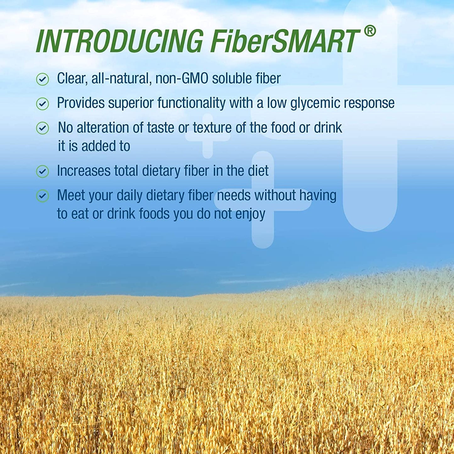 BodyRight Prebiotic Fiber Shot - 100% Natural Fiber Supplement Powder - 30 Servings - Soluble - Orange Flavor Fiber Powder - Vegan Organic Dietary Nutritional Supplements for Men and Women