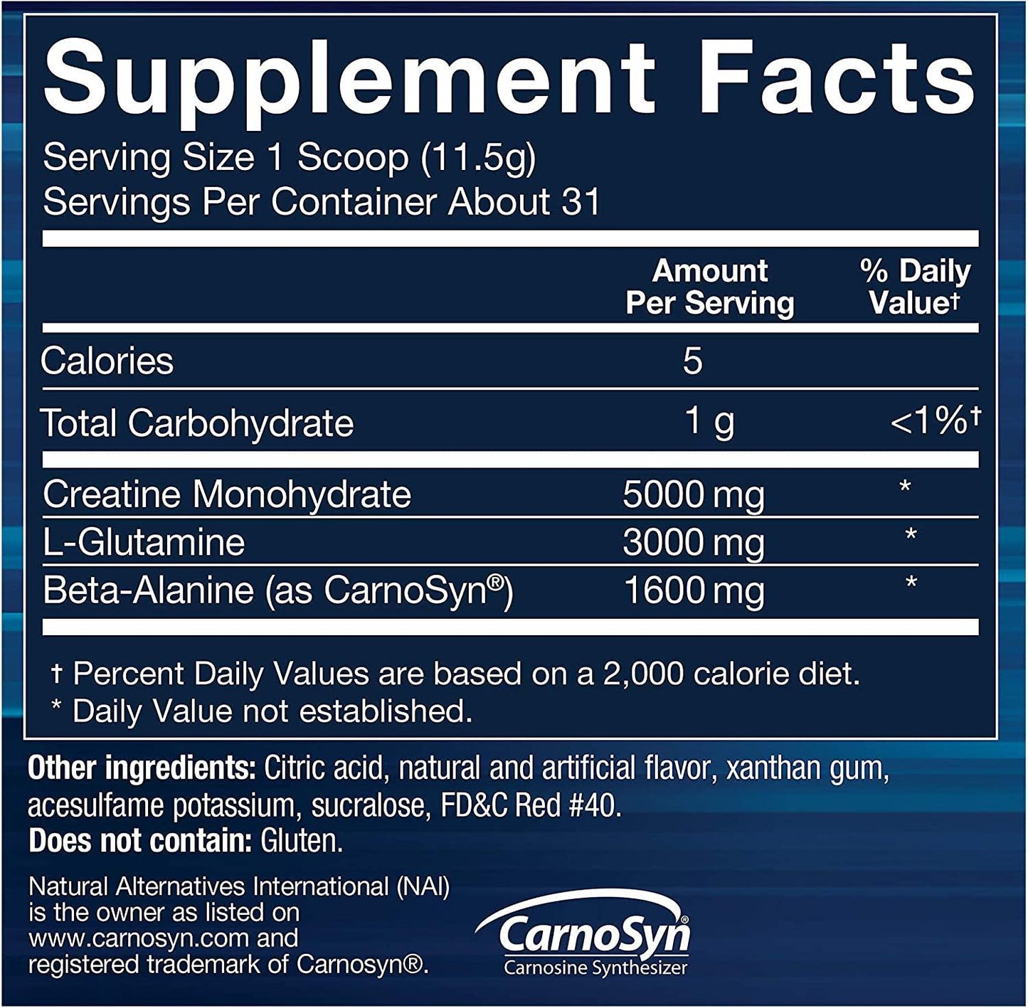 BodyTeach Creatine and Glutamine with Beta Alanine Fruit Punch Supports Muscle Growth, Recovery and Immune Health (12.6 Ounce Powder)