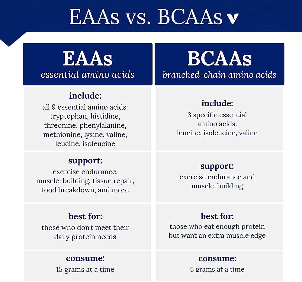 BodyTech BCAA Glutamine Supports Muscle Endurance, Growth Recovery with Essential Amino Acids (7.2 Ounce Powder)