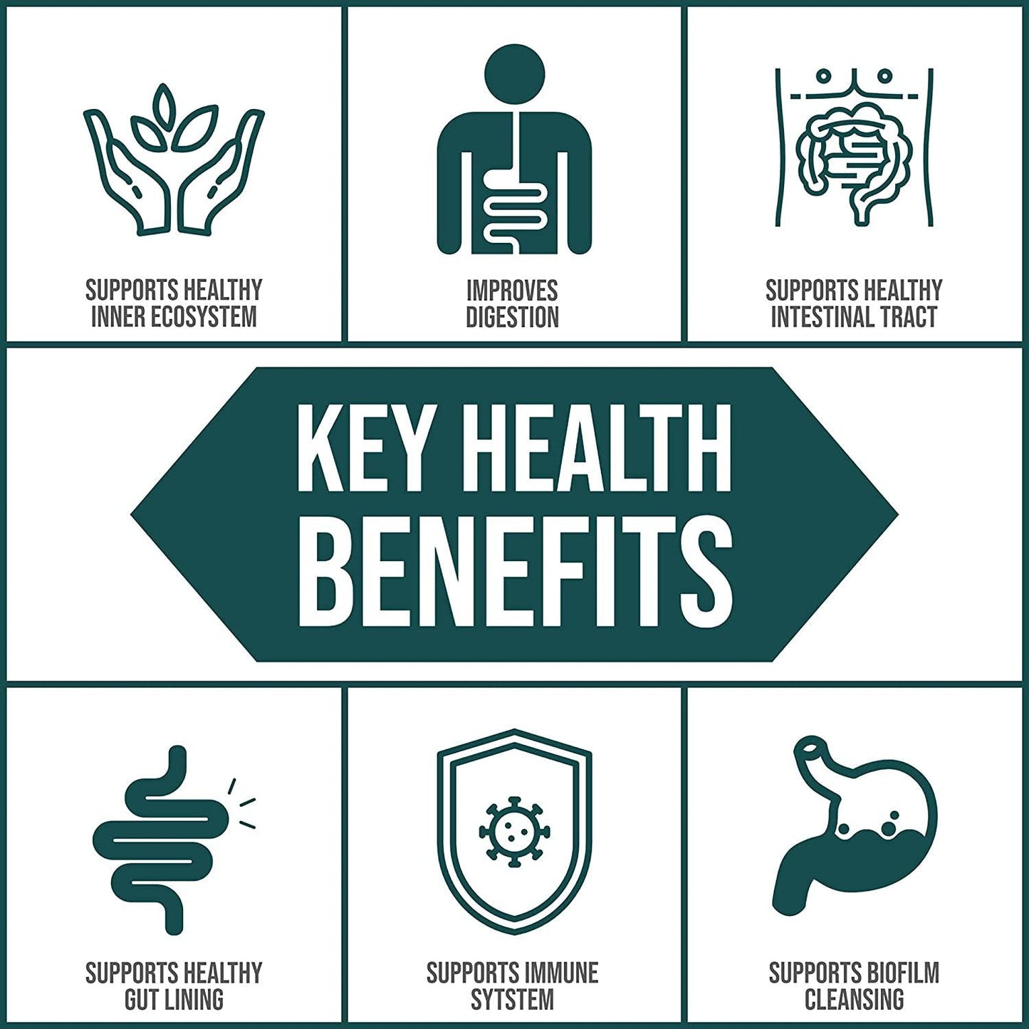 Body Ecology EcoOxyZyme | Multi-Enzyme Digestive Supplement | Supports Immune System and Gut Health | Helps Disrupt Biofilm Buildup | 60 Capsules