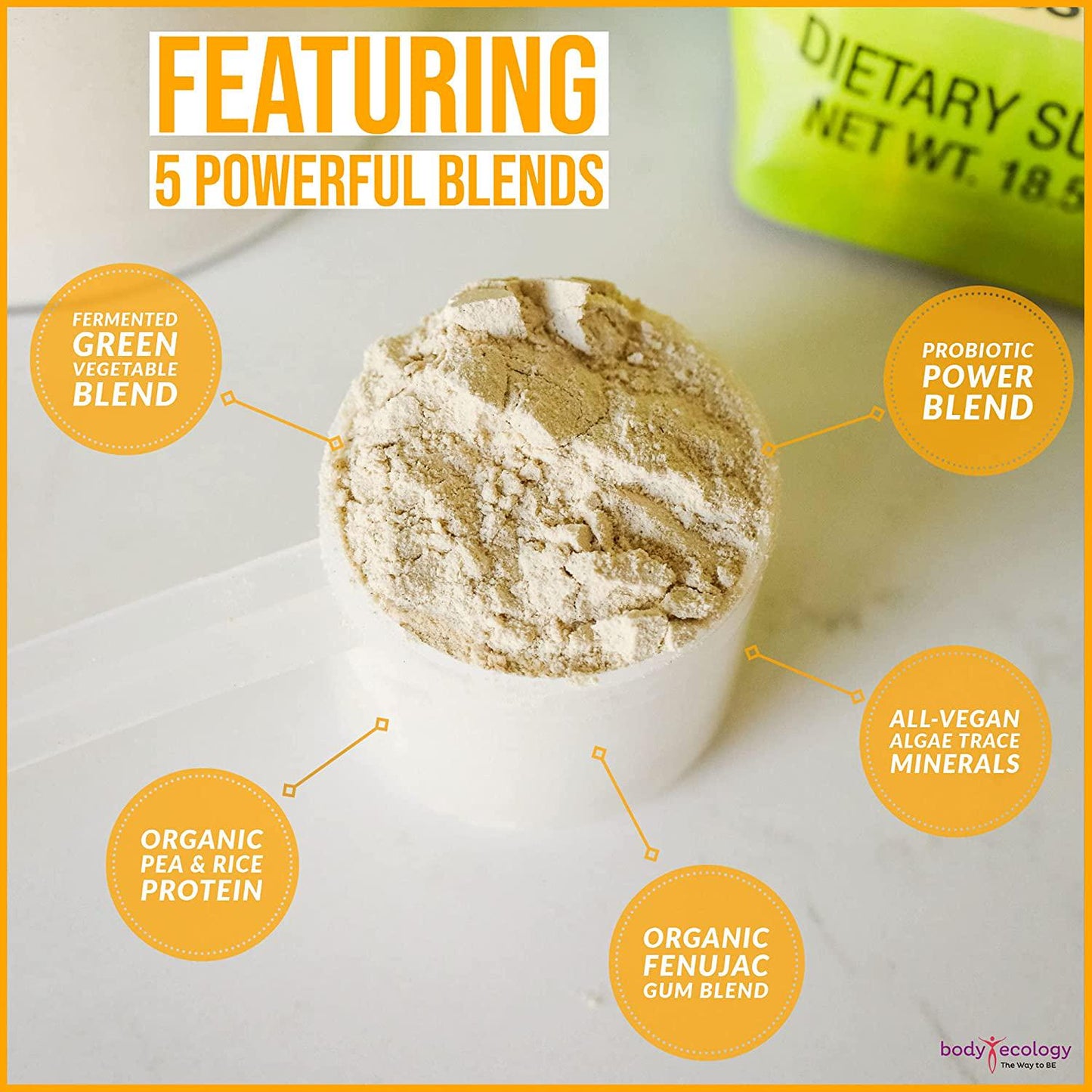 Body Ecology Probiotic Protein Shake Powder | Vegan, Fermented, Organic, Non-GMO, Gluten Free, Soy Free, Dairy Free, No Sugar Added | 15g of Protein | 23 Servings