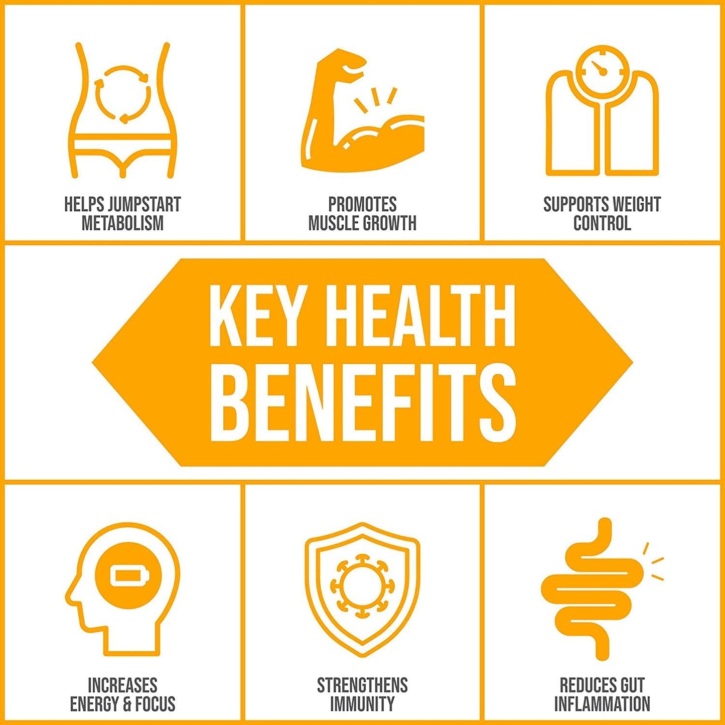 Body Ecology Probiotic Protein Shake Powder | Vegan, Fermented, Organic, Non-GMO, Gluten Free, Soy Free, Dairy Free, No Sugar Added | 15g of Protein | 23 Servings