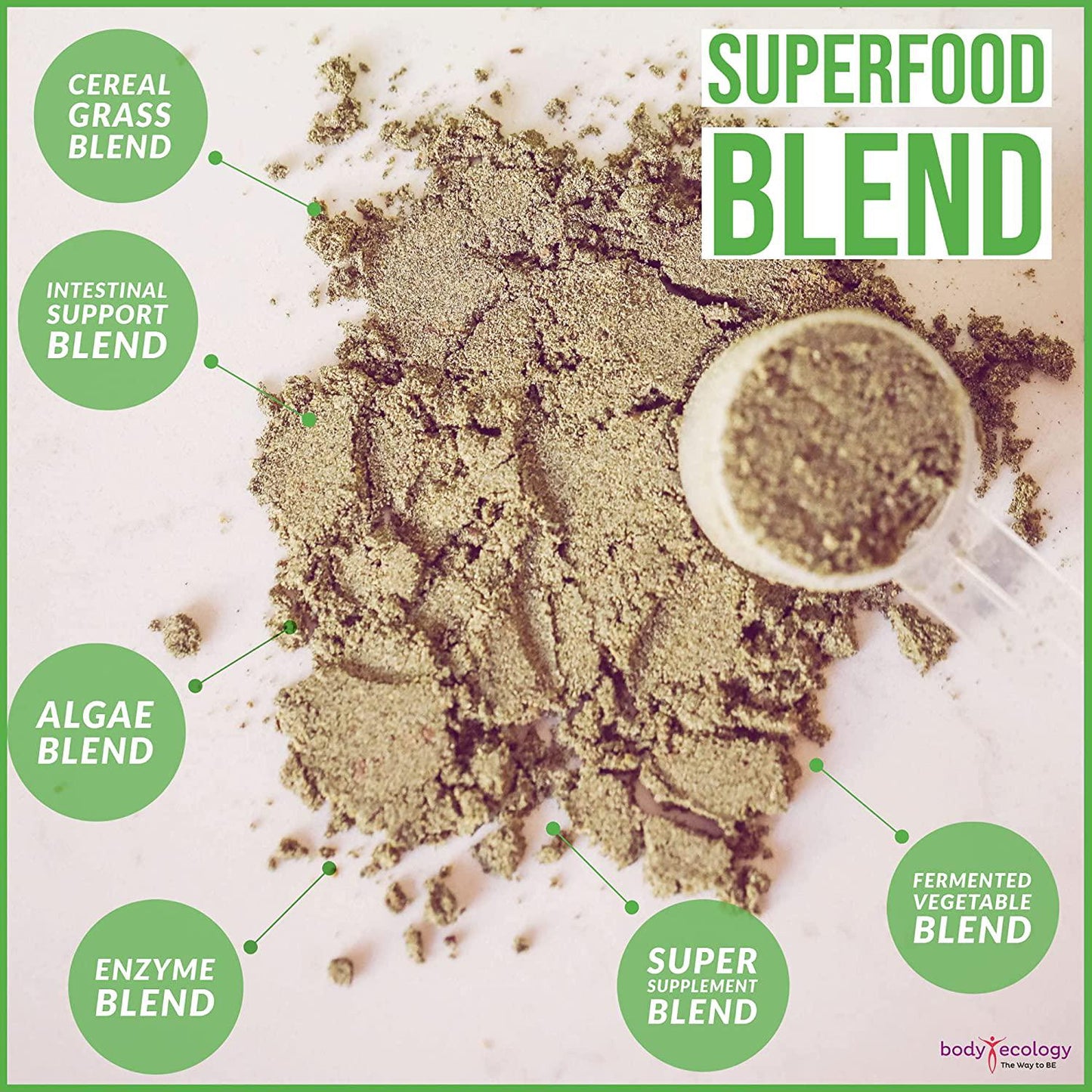 Body Ecology Vitality SuperGreen | Non-GMO Organic Superfood Powder with Spirulina, Alfalfa, Chorella, and More | Boosts Energy, Immunity and Health | 30 Servings