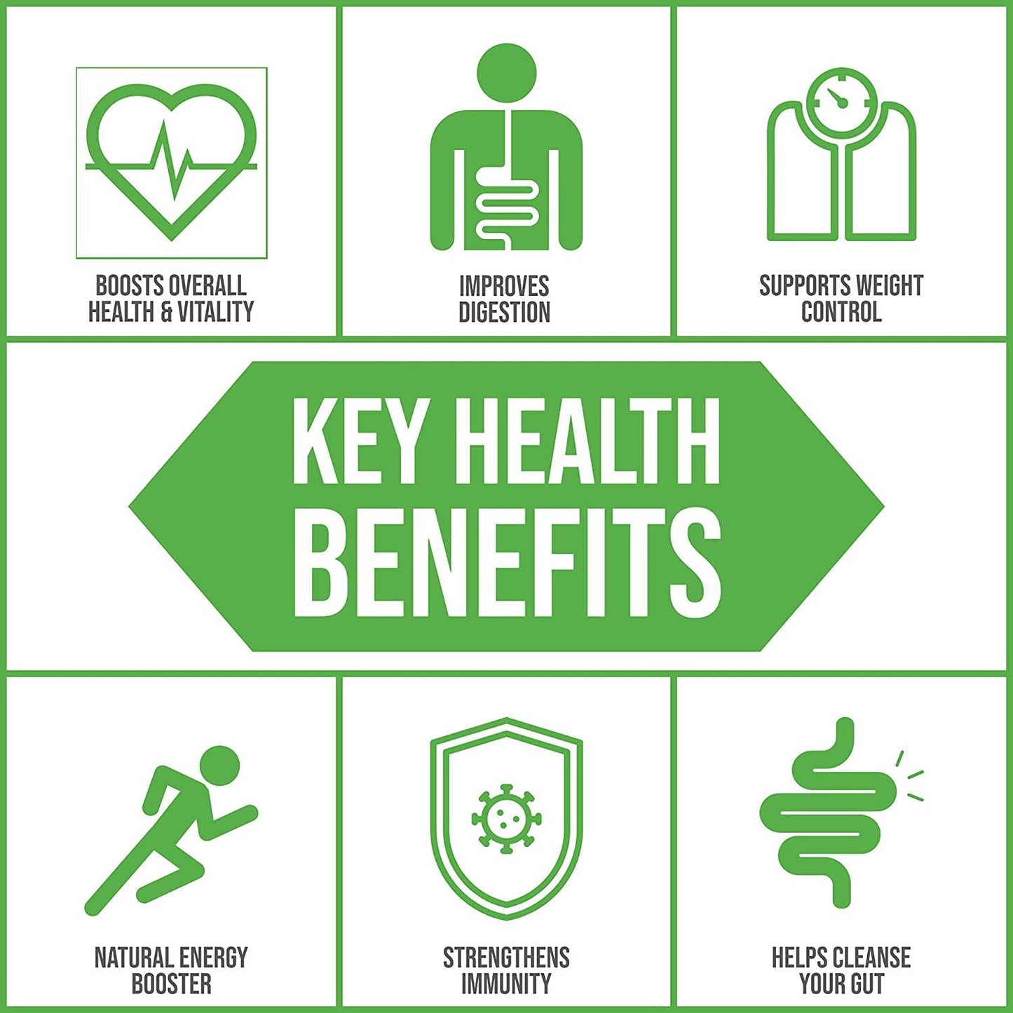 Body Ecology Vitality SuperGreen | Non-GMO Organic Superfood Powder with Spirulina, Alfalfa, Chorella, and More | Boosts Energy, Immunity and Health | 30 Servings