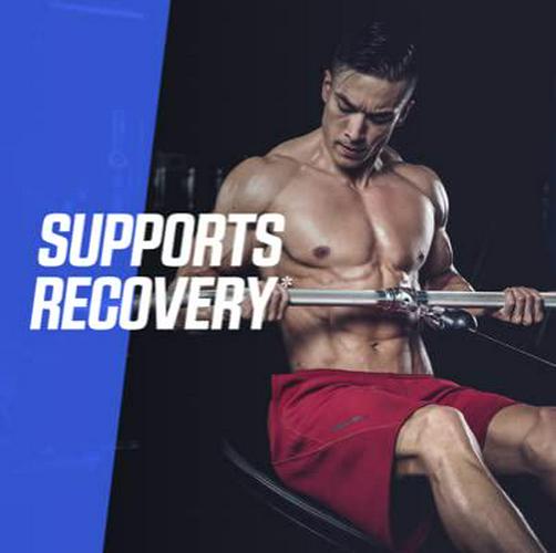 Bodybuilding.com Signature Signature 100% Whey Isolate | Hydrolyzed Whey Protein Isolate | Aid Recovery and Build Muscle | 5 Lbs. Chocolate