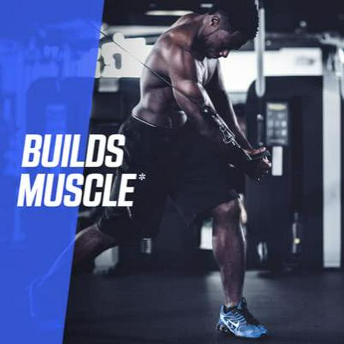 Bodybuilding.com Signature Signature 100% Whey Isolate | Hydrolyzed Whey Protein Isolate | Aid Recovery and Build Muscle | 5 Lbs. Chocolate