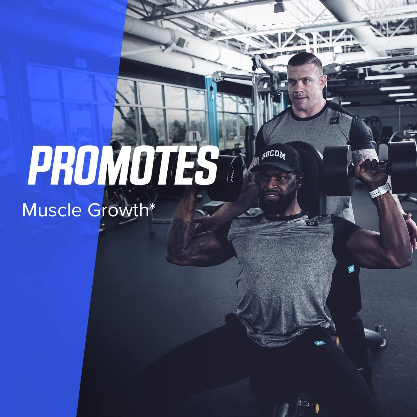 Bodybuilding.com Signature Creatine Monohydrate Powder, Pure Creatine, Muscle Size, Strength, Power, Performance, Recovery, 400 Grams, 80 Servings, Unflavored