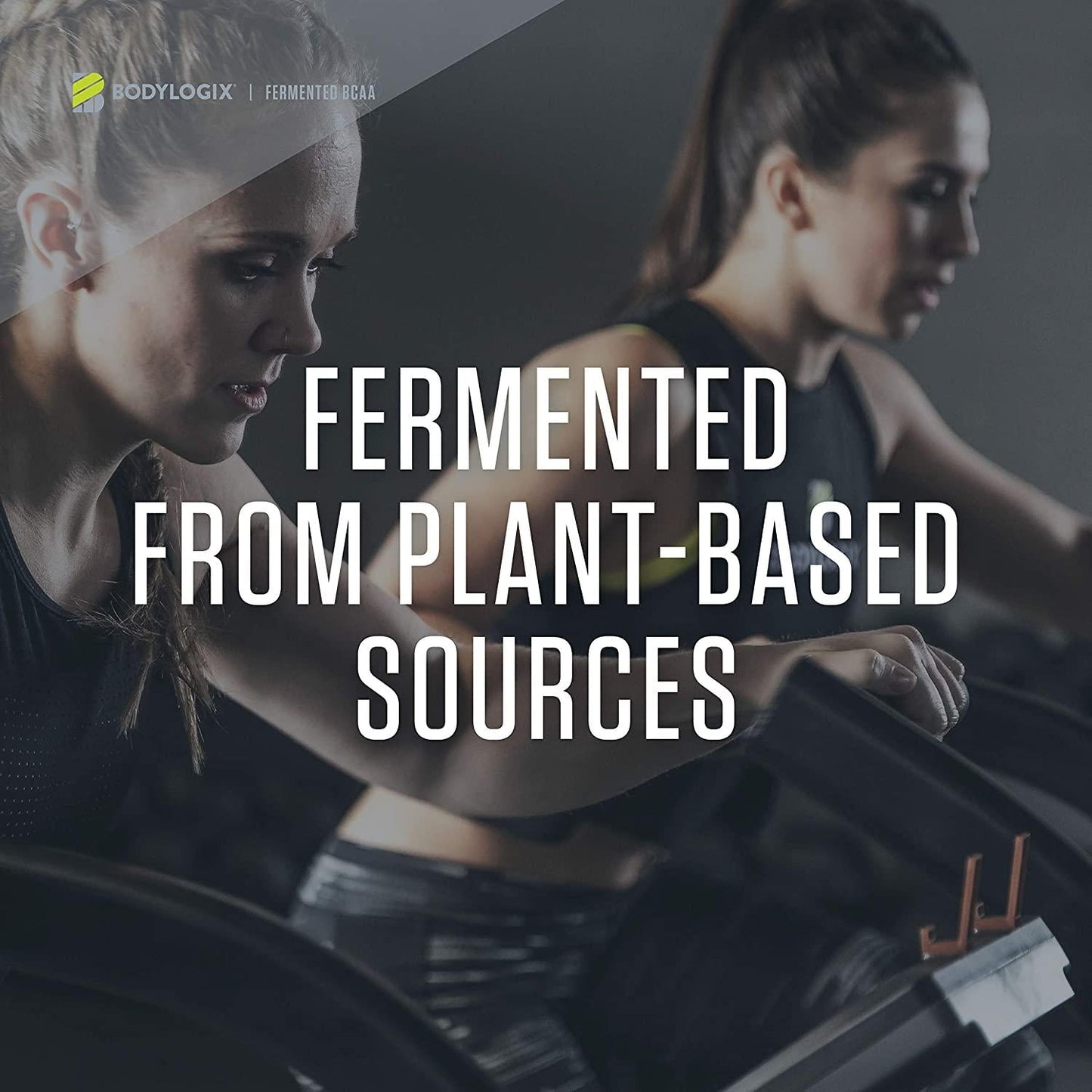 Bodylogix Fermented BCAA Powder, NSF Certified, Unflavored, 300g