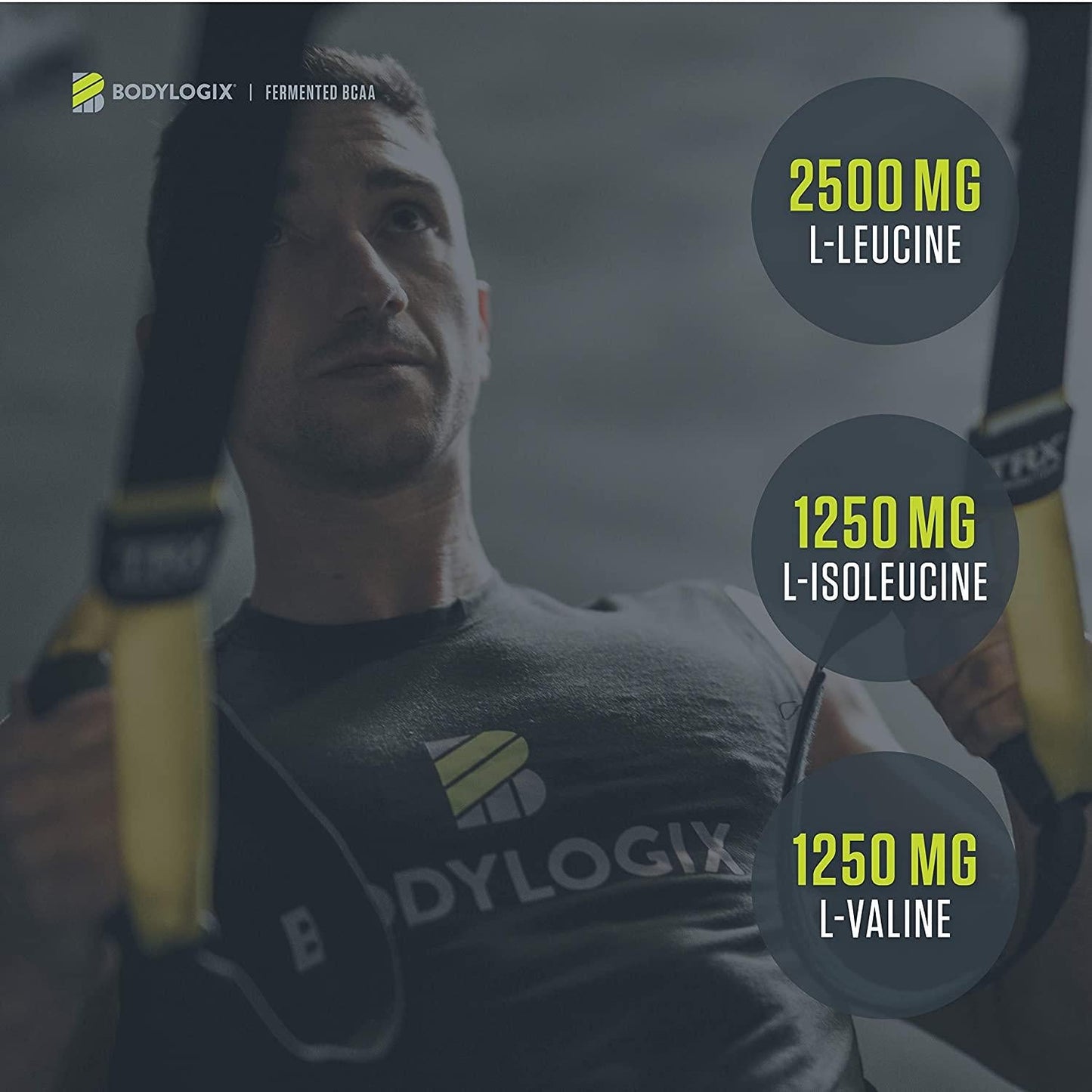 Bodylogix Fermented BCAA Powder, NSF Certified, Unflavored, 300g