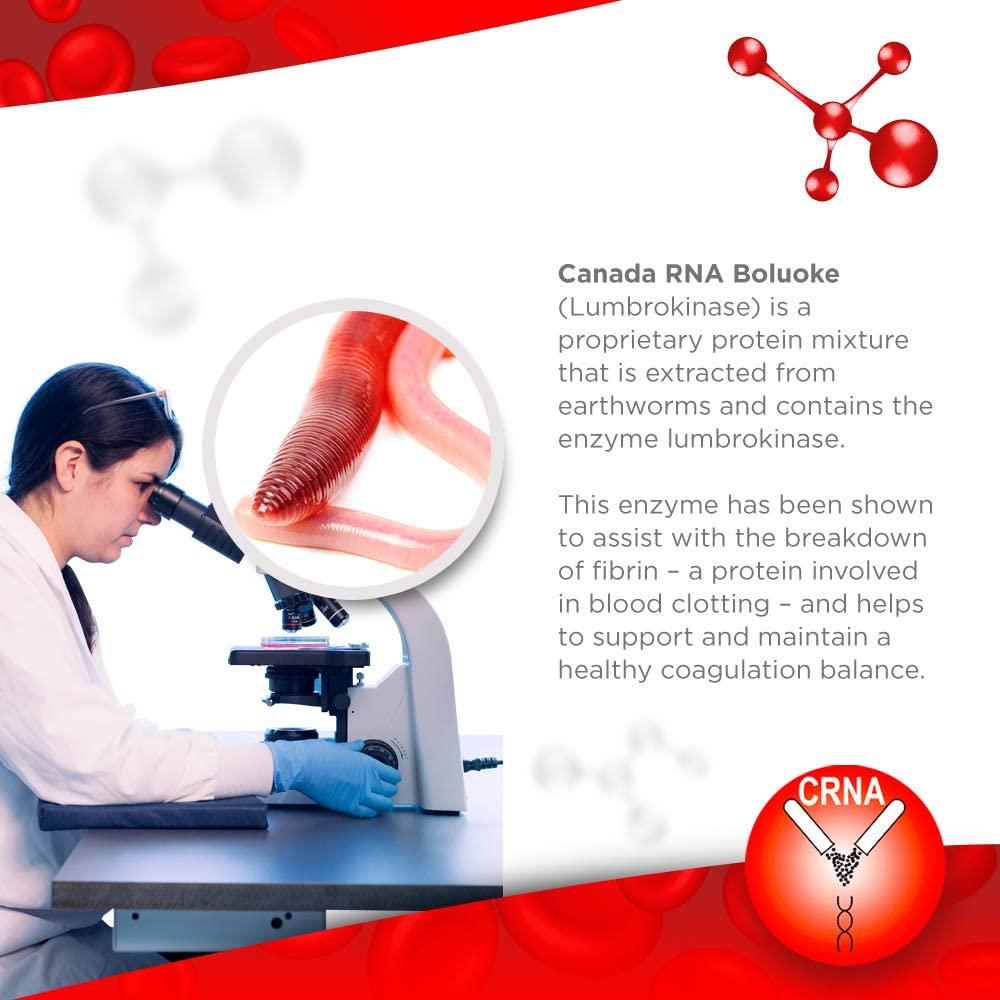 Boluoke (Lumbrokinase) for Circulatory Health Canada RNA, 60 caps